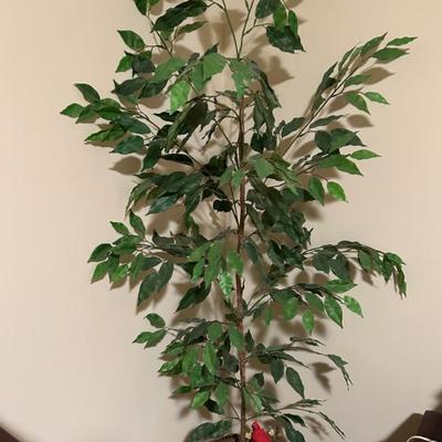 Sale Photo Thumbnail #121