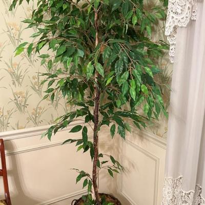 Sale Photo Thumbnail #242