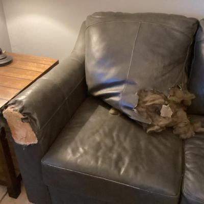 Sale Photo Thumbnail #10