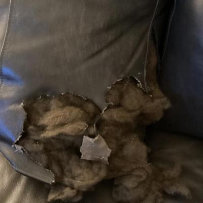 Sale Photo Thumbnail #13