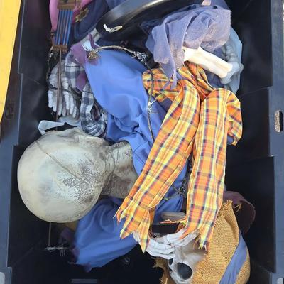 Outdoor Halloween Decorations - Skeletons & Zombie Decor