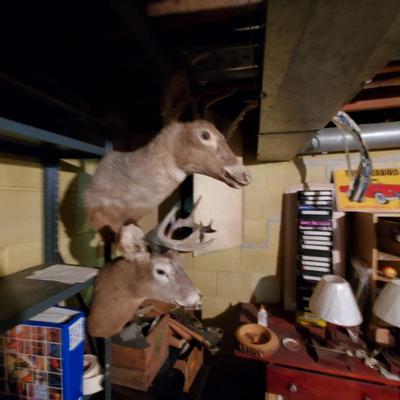 Sale Photo Thumbnail #131