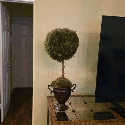 Sale Photo Thumbnail #103: Topiary Table Decorations
