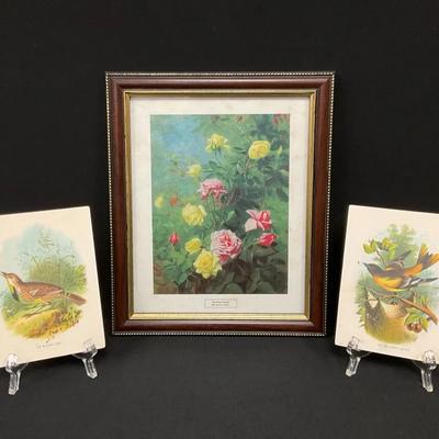 Vintage Flower And Bird Prints