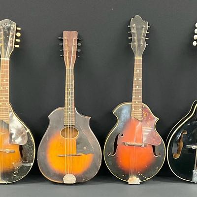 Project Mandolin Collection