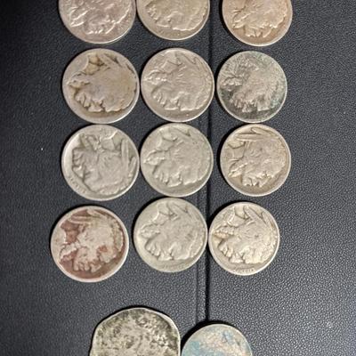 Lot of Buffalo Nickels