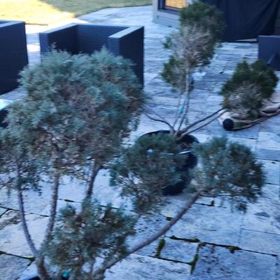 Sale Photo Thumbnail #192