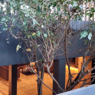 Sale Photo Thumbnail #106