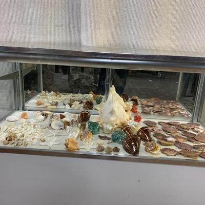 Sale Photo Thumbnail #273