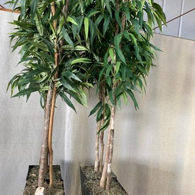 Sale Photo Thumbnail #439