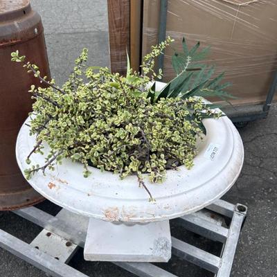 Sale Photo Thumbnail #464