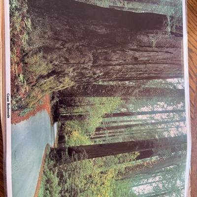 Sale Photo Thumbnail #43