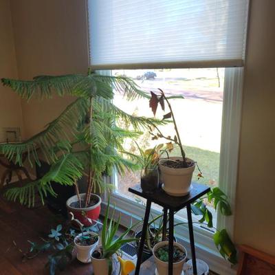 Sale Photo Thumbnail #89