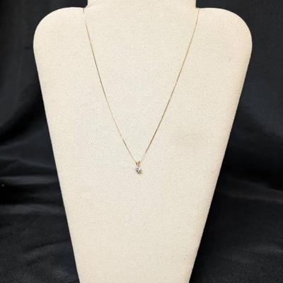 Gold Chain w/Pendant