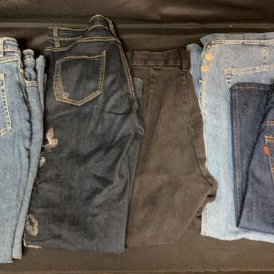 Levi Jean Skirt and Denim Jean Collection