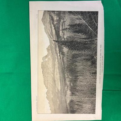 Sale Photo Thumbnail #32