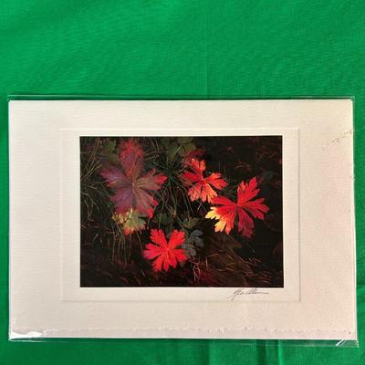 Sale Photo Thumbnail #178