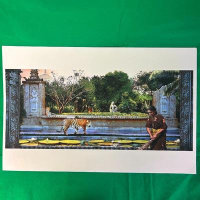 Sale Photo Thumbnail #139