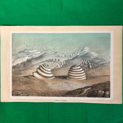 Sale Photo Thumbnail #26