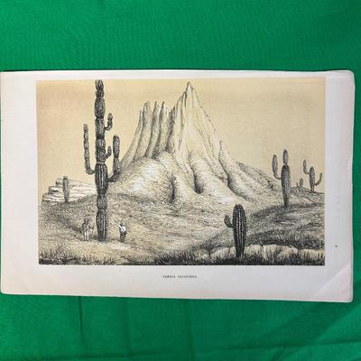 Sale Photo Thumbnail #54