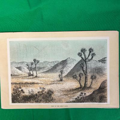 Sale Photo Thumbnail #40