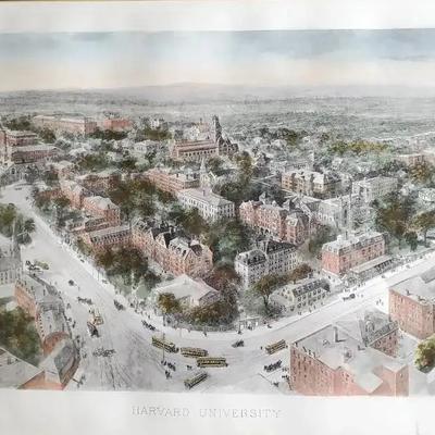 Richard Rummell Birds-Eye Harvard University Print - 24.5x37.5"