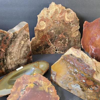 Petrified Wood Slabs 9", 6.5", 5" H Polished Rock Lot 6