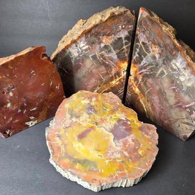 Petrified Wood Bookends 8" & Cross Section; Stone Cross Section