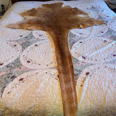 Sale Photo Thumbnail #81