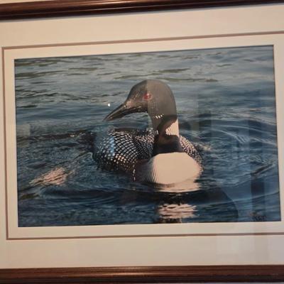 Sale Photo Thumbnail #66