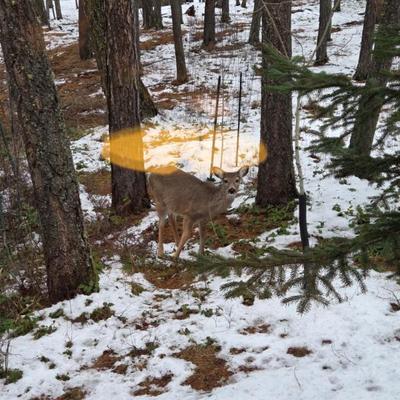 Sale Photo Thumbnail #46