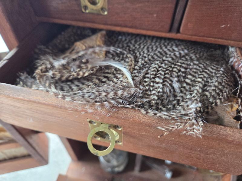 Sale Photo Thumbnail #119