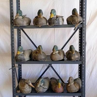 Get Your Ducks In A Row