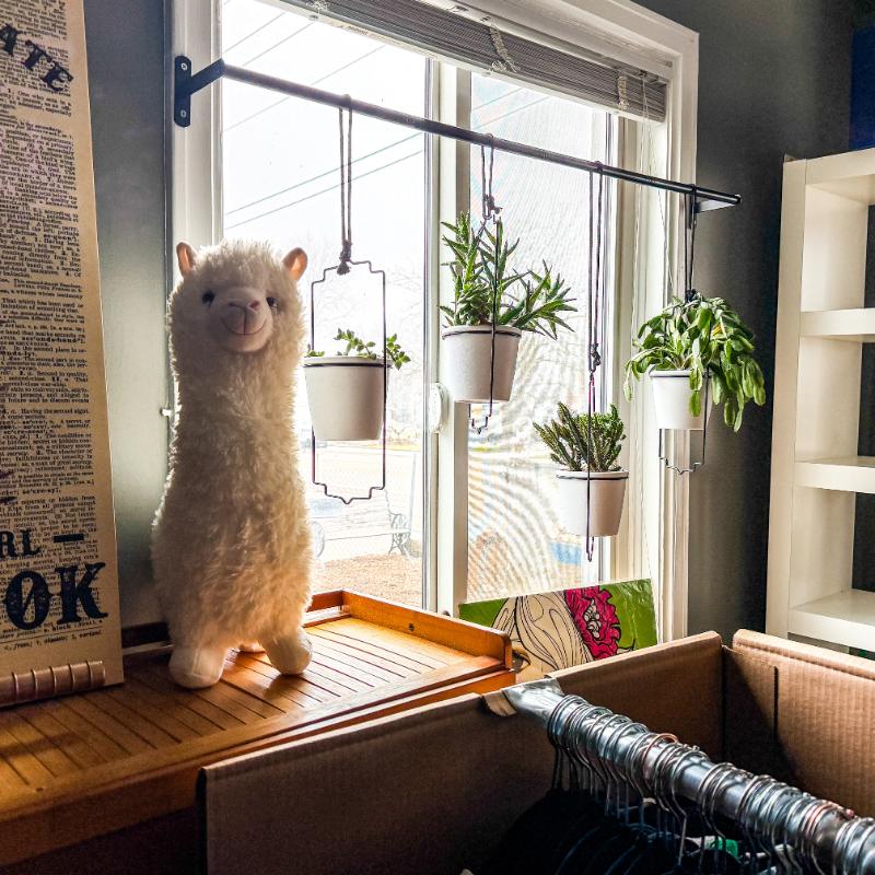 Sale Photo Thumbnail #13