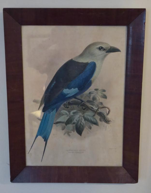 Sale Photo Thumbnail #6