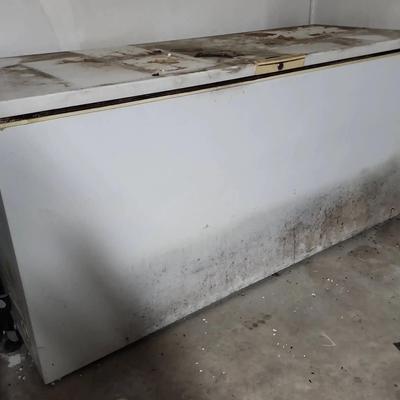 Chest Freezer 