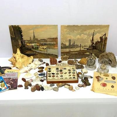 Collection Of Vintage Art Prints, Seashells, Rock Collection, And Books