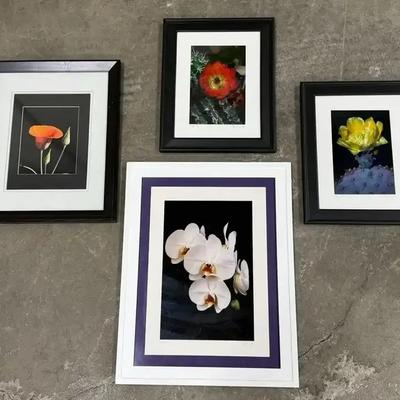 Floral Photography Gallery (1126)