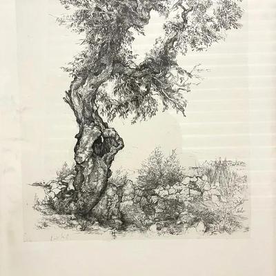 MidCentury Modern Anna Ticho, Israel Museum Exhibition Poster featuring “Old Olive Tree” 1935