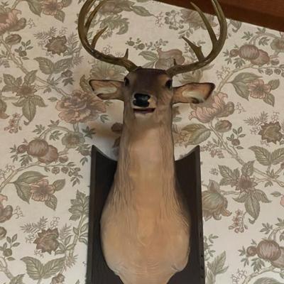 Bucky the talking deer 