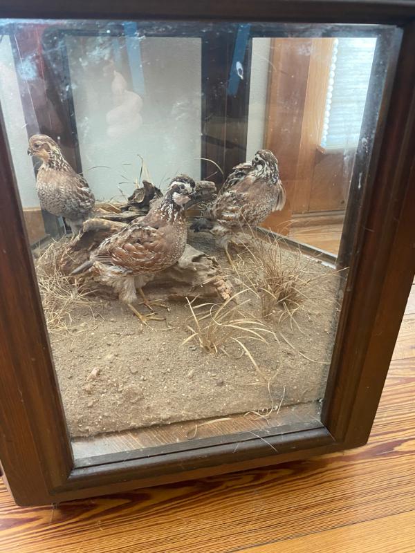 Sale Photo Thumbnail #23