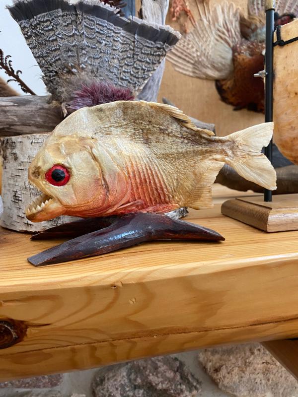 Sale Photo Thumbnail #11