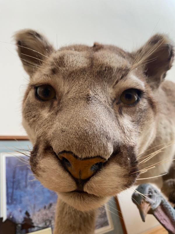 Sale Photo Thumbnail #2