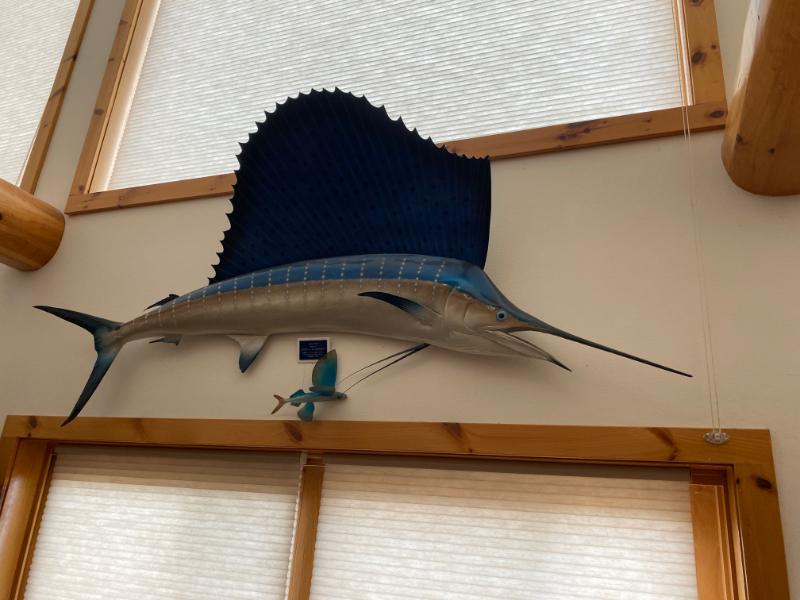 Sale Photo Thumbnail #38