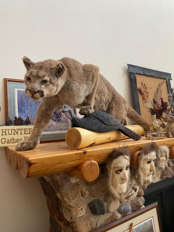 Sale Photo Thumbnail #3