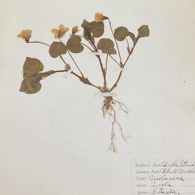 Sale Photo Thumbnail #152