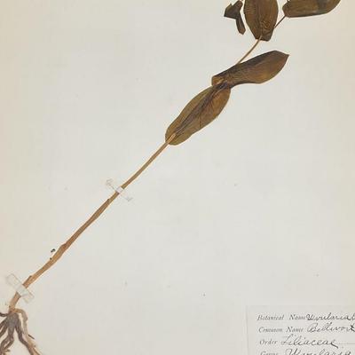 Sale Photo Thumbnail #151