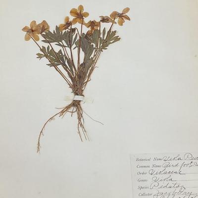 Sale Photo Thumbnail #45