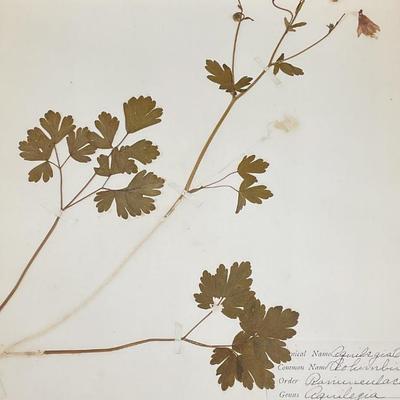 Sale Photo Thumbnail #149