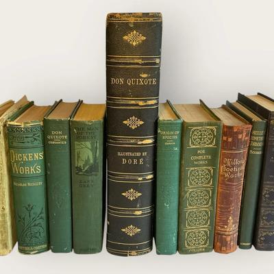 The Classics - Don Quixote, Dickens Works, Man of the Forest & More (LR63)